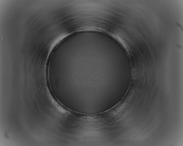 X0000091850995200709261204