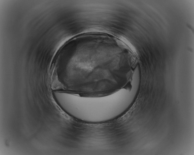 X0000091850996200709261204