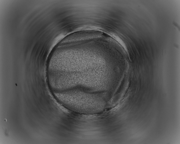 X0000091850997200709261204