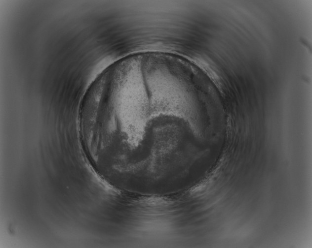 X0000091850998200709261203