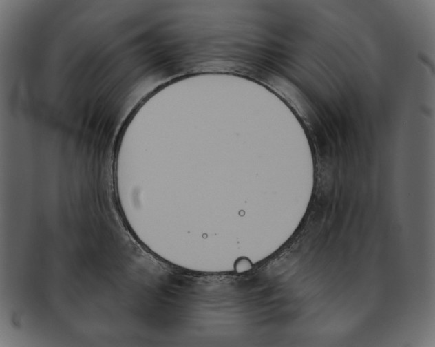 X0000091851000200709261203