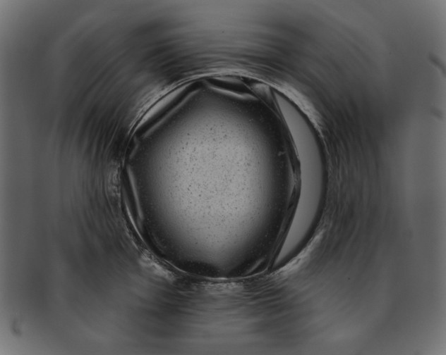 X0000091851001200709261203