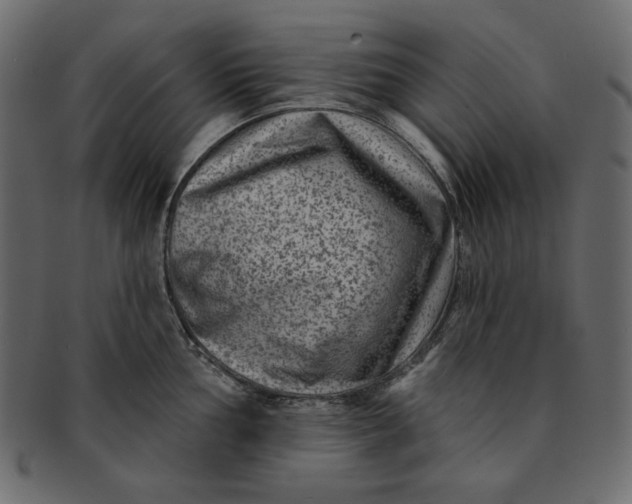 X0000091851002200709261203