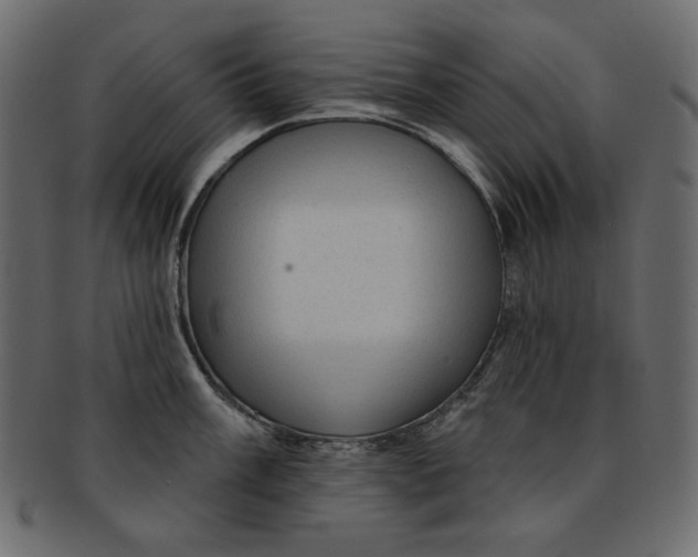 X0000091851003200709261203