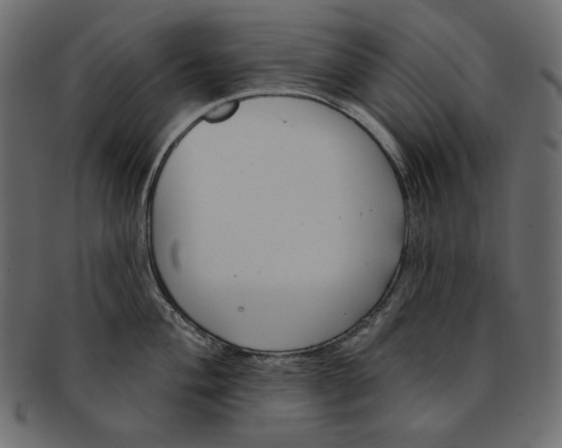 X0000091851004200709261203