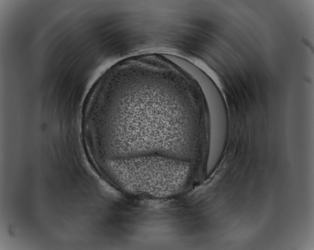 X0000091851005200709261203