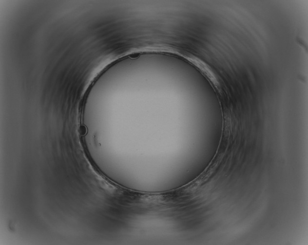 X0000091851006200709261203