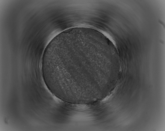 X0000091851007200709261203