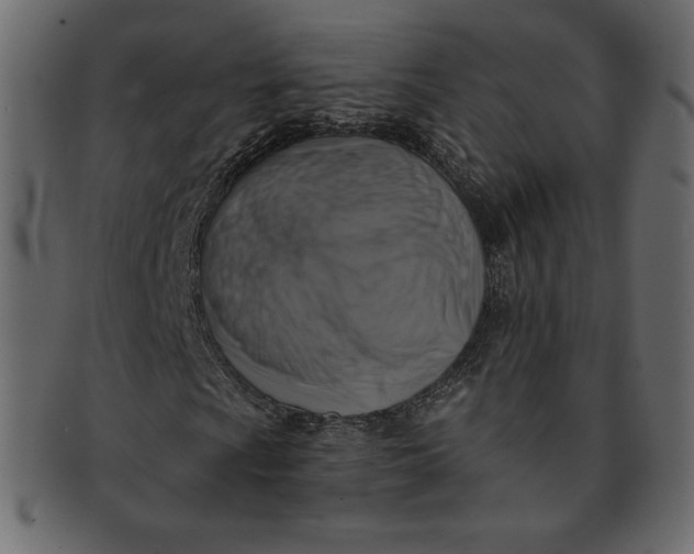 X0000091851009200709261203