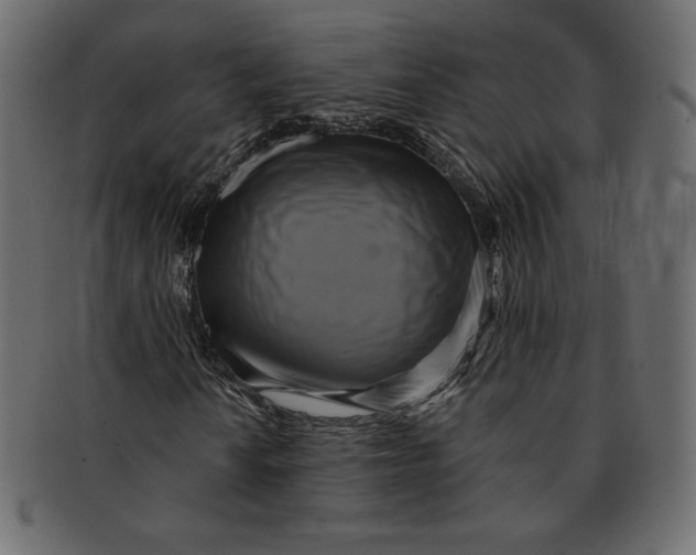 X0000091851010200709261203