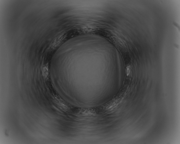 X0000091851011200709261203