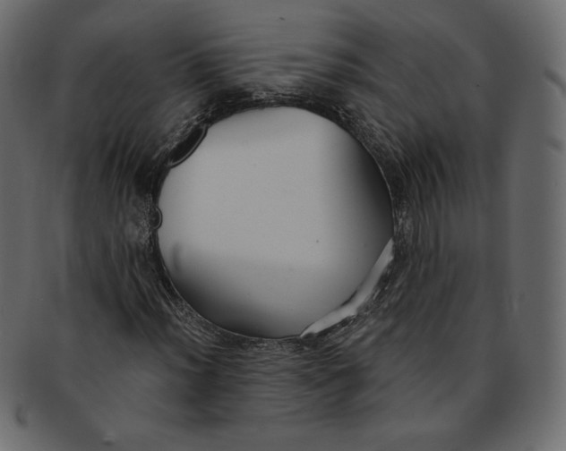 X0000091851012200709261203