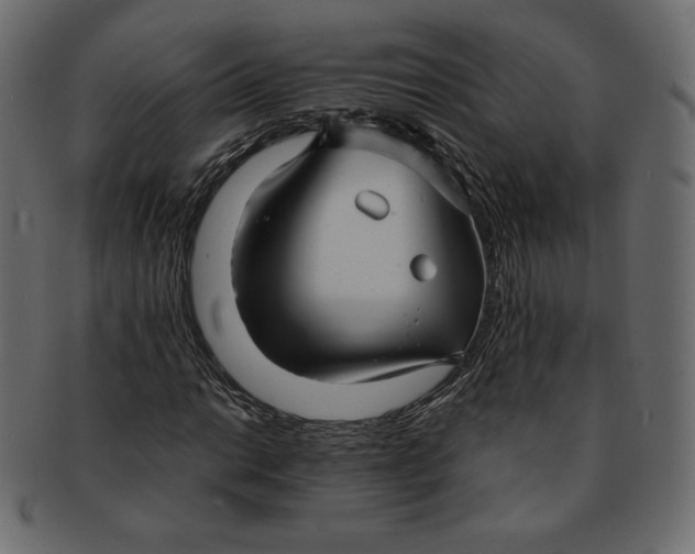 X0000091851014200709261203