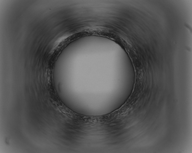 X0000091851016200709261203