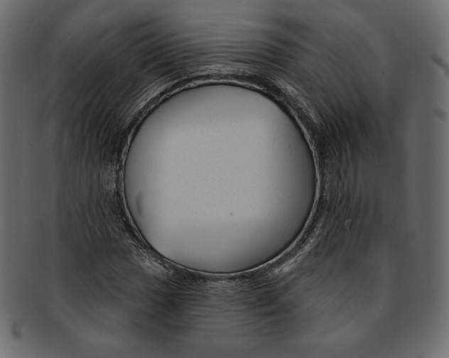 X0000091851017200709261203