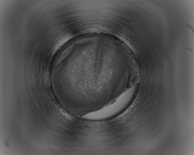 X0000091851018200709261203