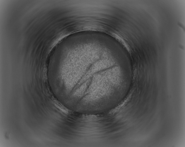 X0000091851019200709261203