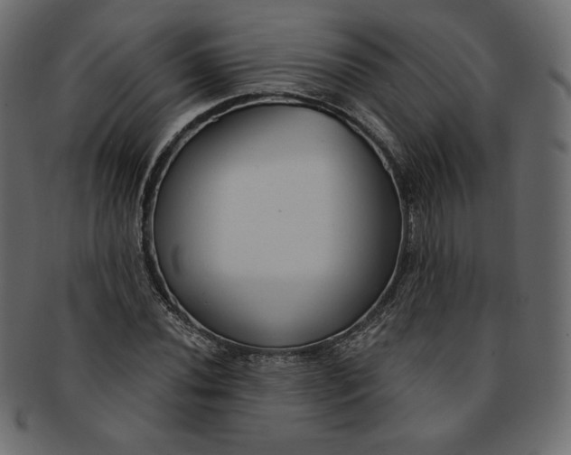 X0000091851020200709261203