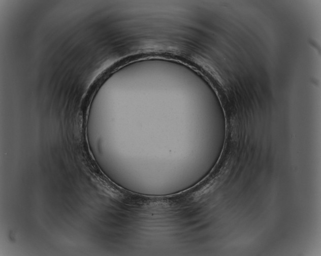 X0000091851021200709261203