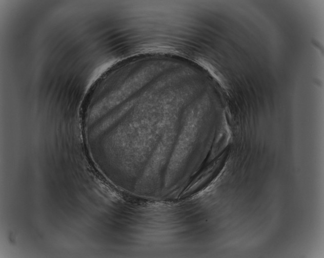 X0000091851022200709261203