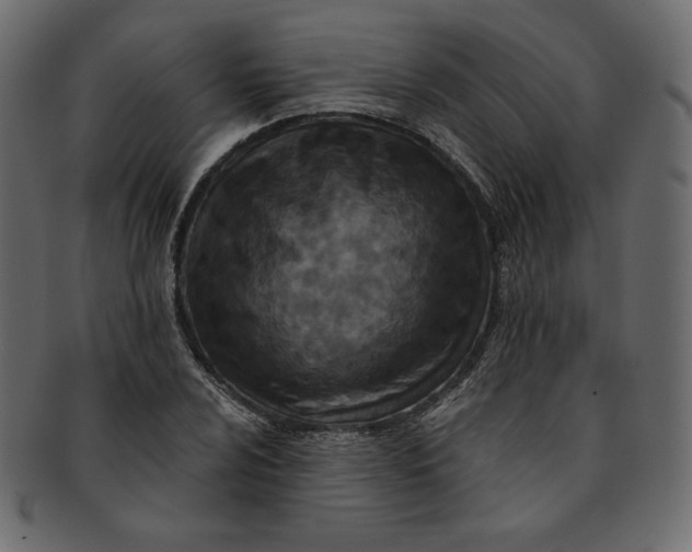 X0000091851024200709261203