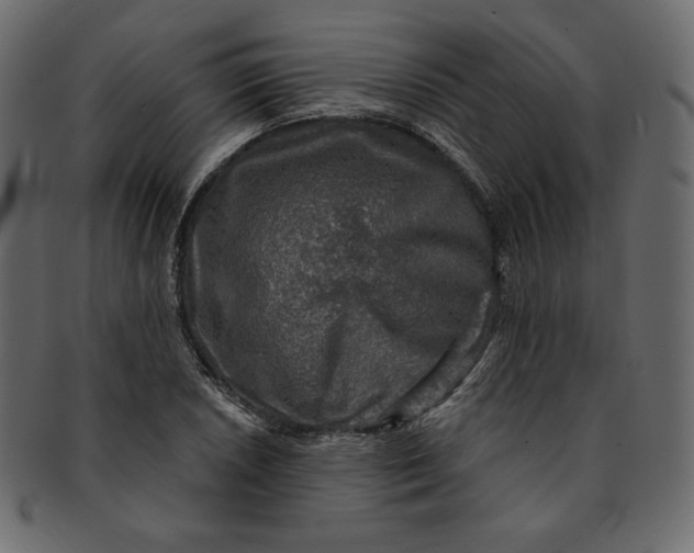 X0000091851026200709261203