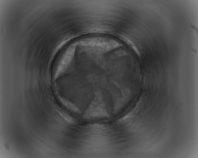 X0000091851027200709261203