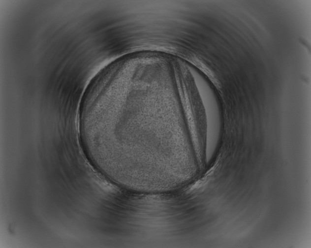 X0000091851028200709261203