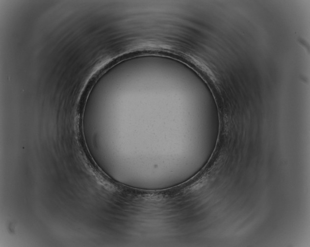 X0000091851029200709261203