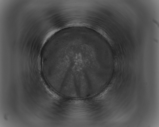 X0000091851030200709261203