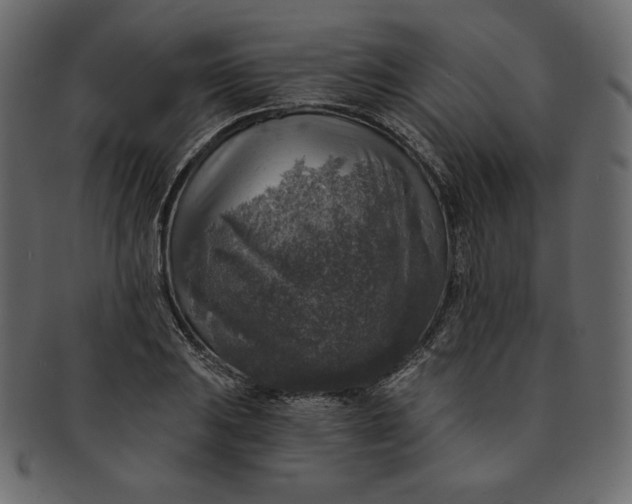 X0000091851031200709261203