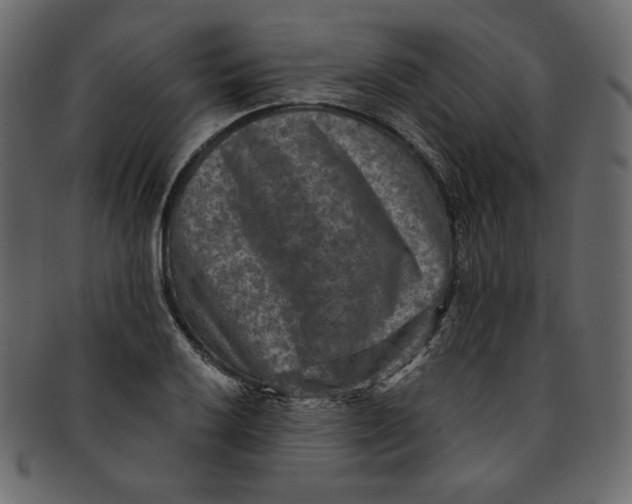 X0000091851032200709261203