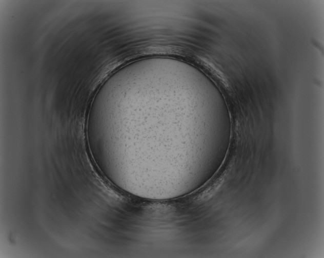 X0000091851033200709261203