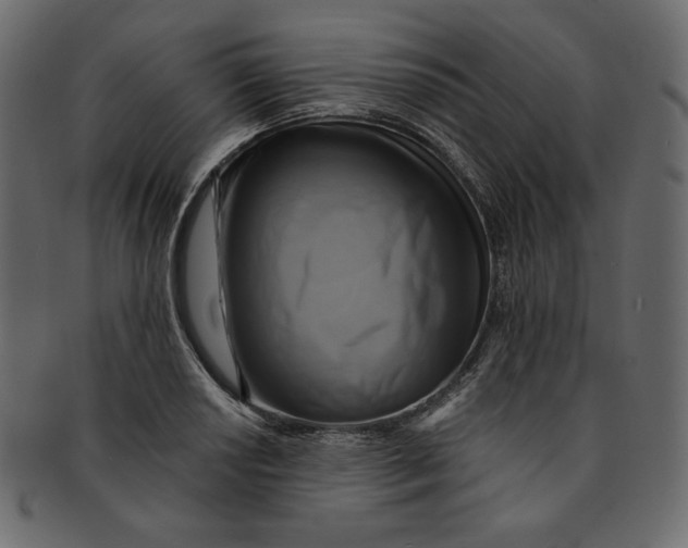 X0000091851034200709261203