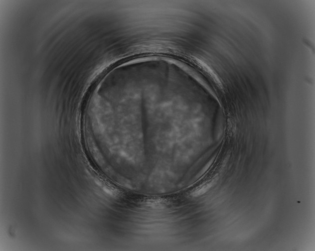 X0000091851035200709261203