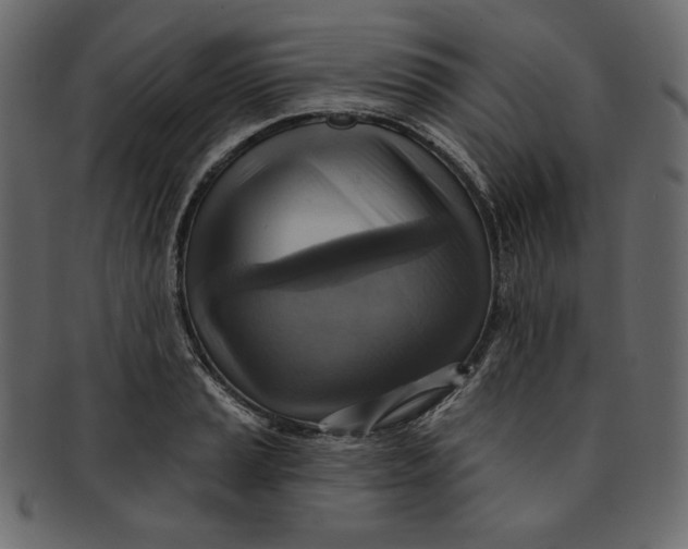 X0000091851037200709261203