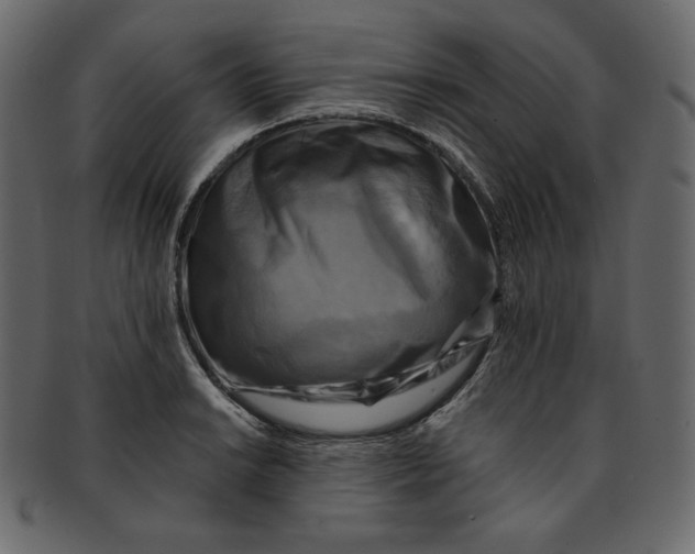 X0000091851038200709261203