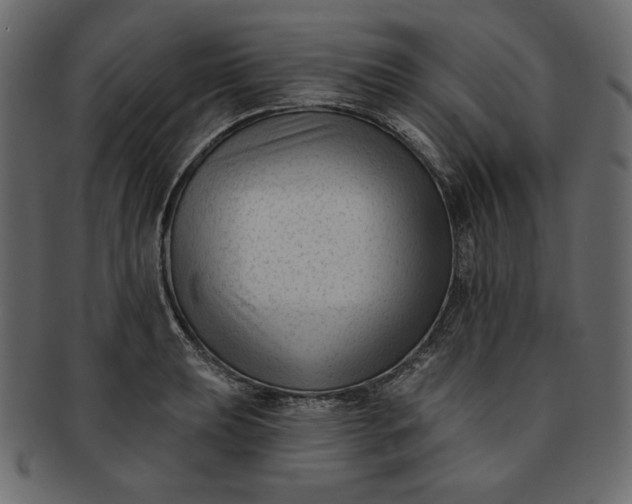 X0000091851039200709261203