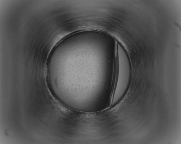 X0000091851040200709261203