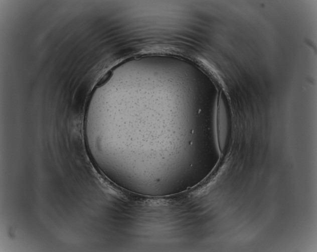 X0000091851041200709261203