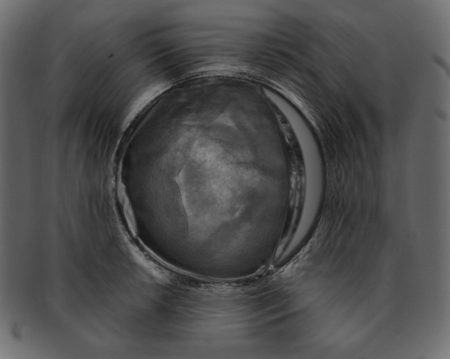 X0000091851042200709261203