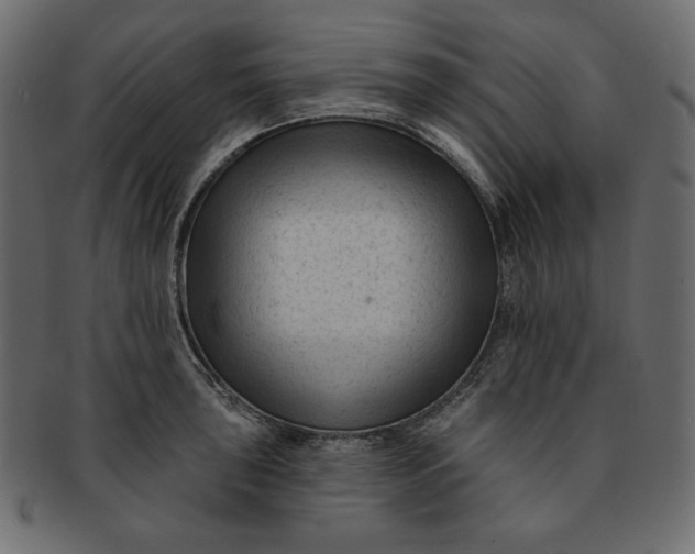 X0000091851043200709261203