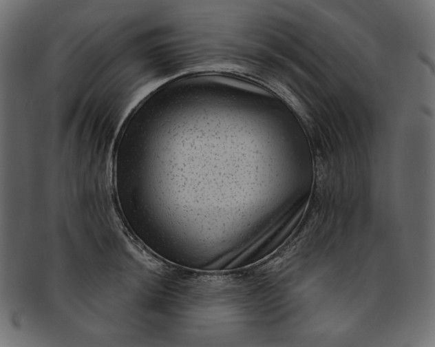 X0000091851044200709261203