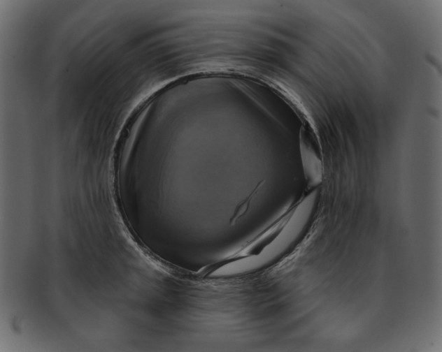 X0000091851045200709261203