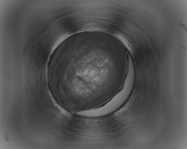 X0000091851046200709261203