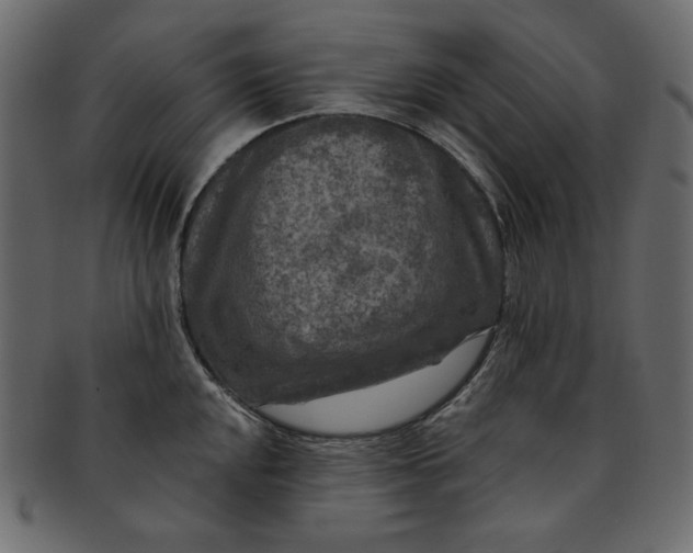 X0000091851048200709261203