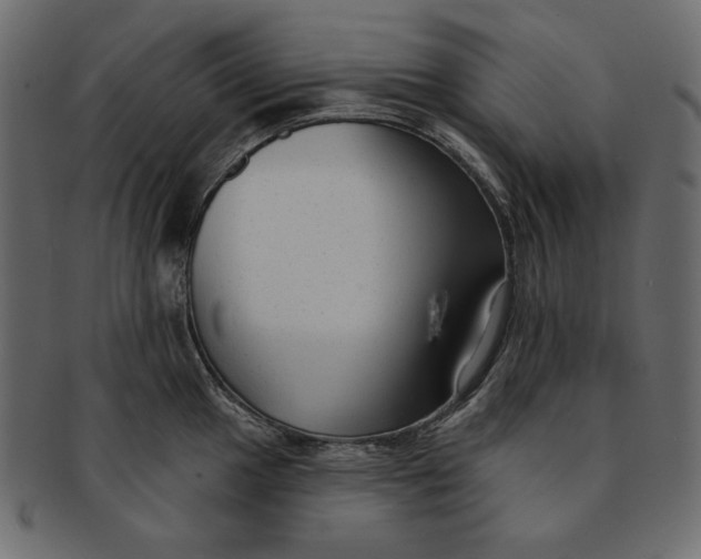 X0000091851049200709261203