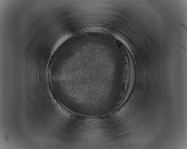 X0000091851050200709261203