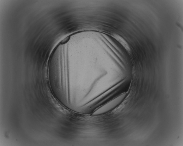 X0000091851052200709261203