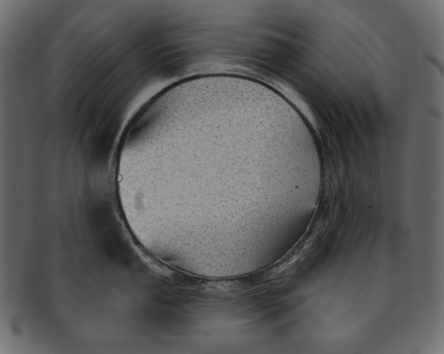 X0000091851053200709261203